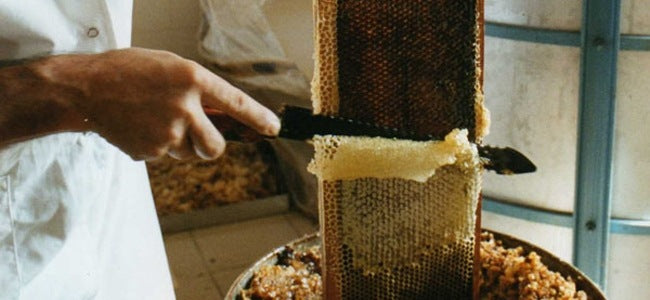 Honey & Honey Specialities